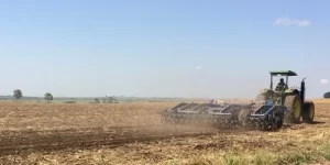 Read more about the article Crop theft in Northern Uganda