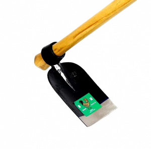 Read more about the article INFORMATION