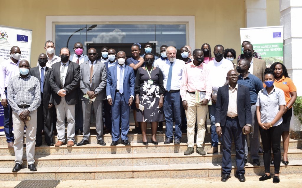 Read more about the article Developing a Market Oriented and Environmentally Sustainable Beef Meat Industry