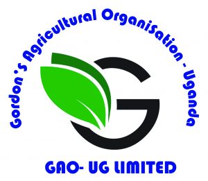 Read more about the article Happy Christmas and prosperous New year