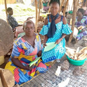 Read more about the article GAO-UG Limited Agribusiness credits for women