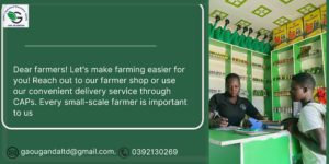 Read more about the article visit our farmers’ shop